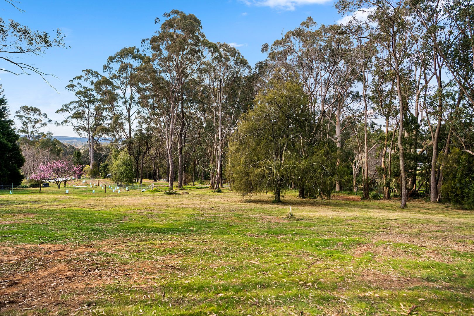 211 Range Road, Mittagong NSW 2575, Image 2