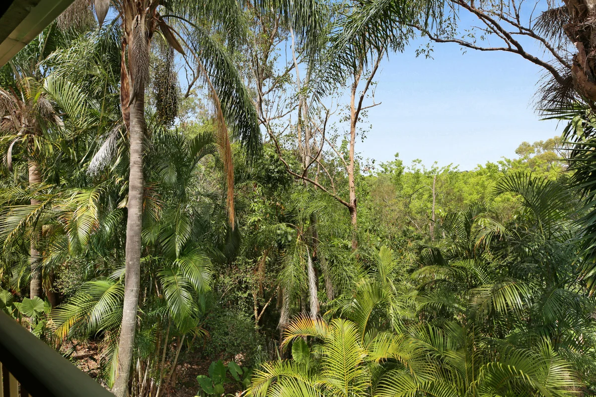 Additional image 31 of 2 Ronelle Court, Tallebudgera QLD 4228