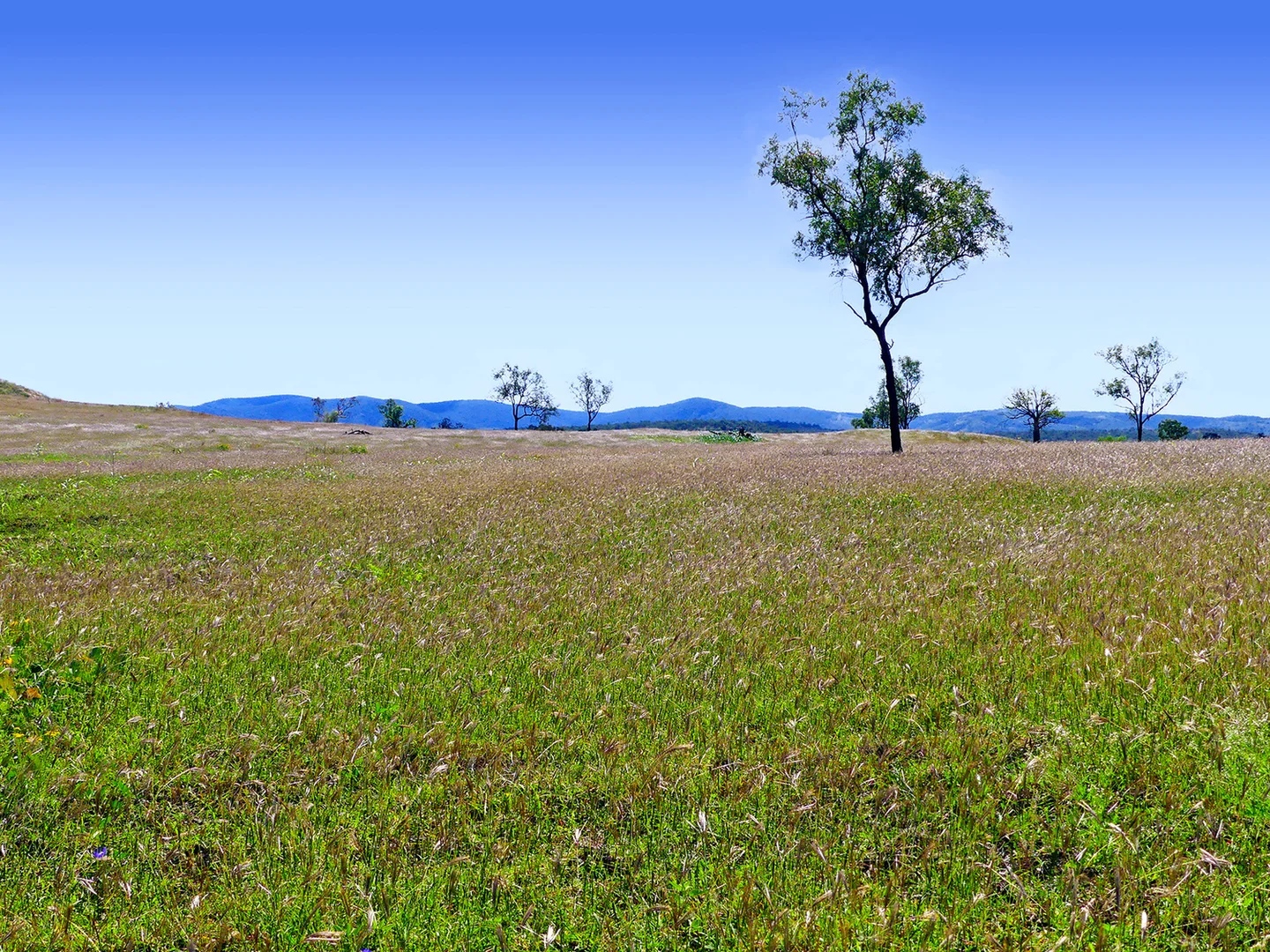 Image 14
