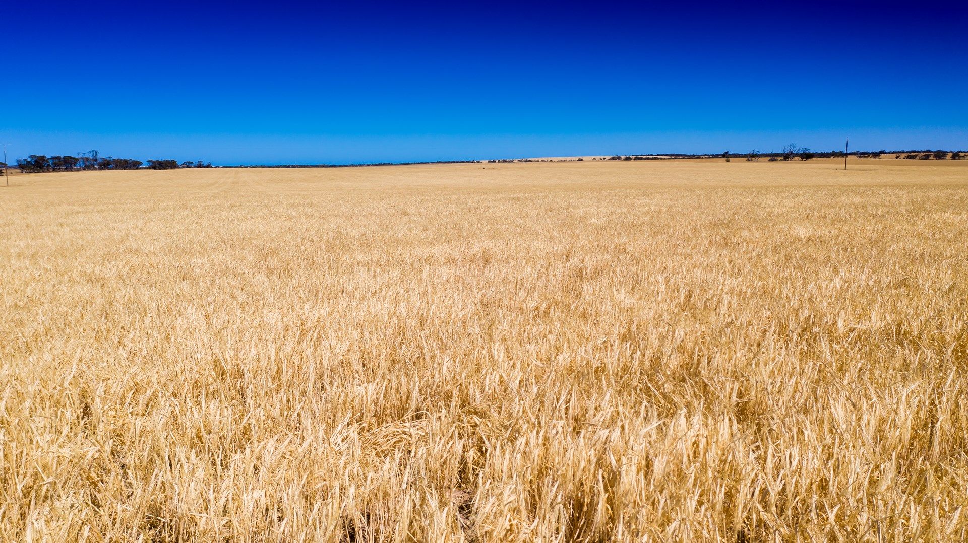 Various Allots The Grub Road, Perlubie SA 5680, Image 0