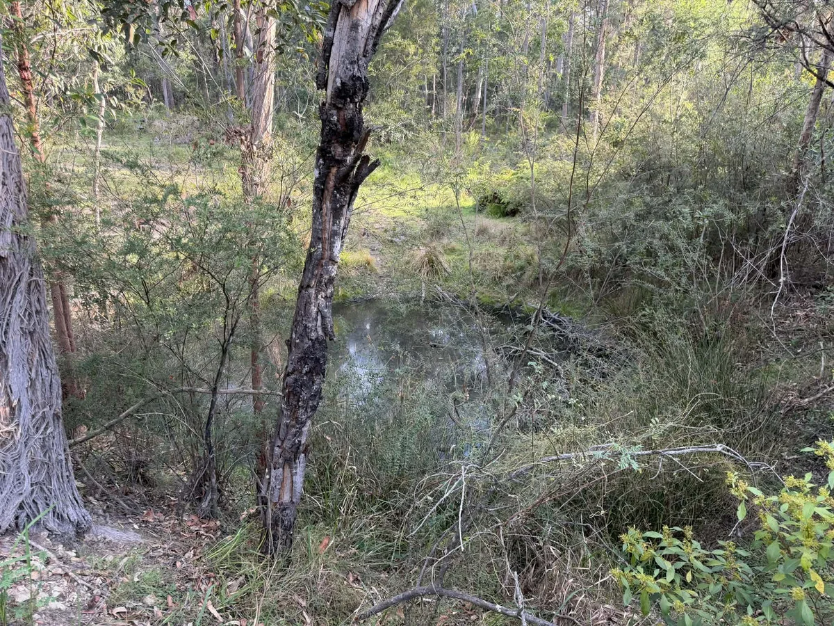 Additional image 6 of 1300 Sapphire Coast Drive, Wallagoot NSW 2550