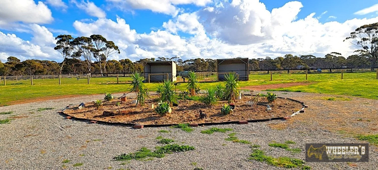 Additional image 20 of 36 Cook Street, Kondinin WA 6367