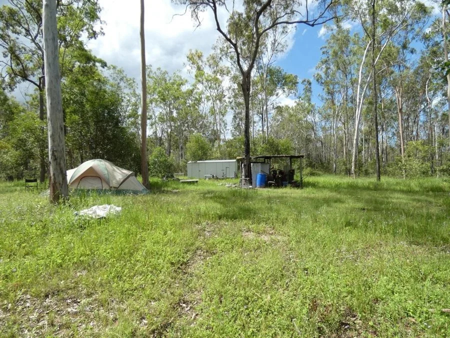 Image 13