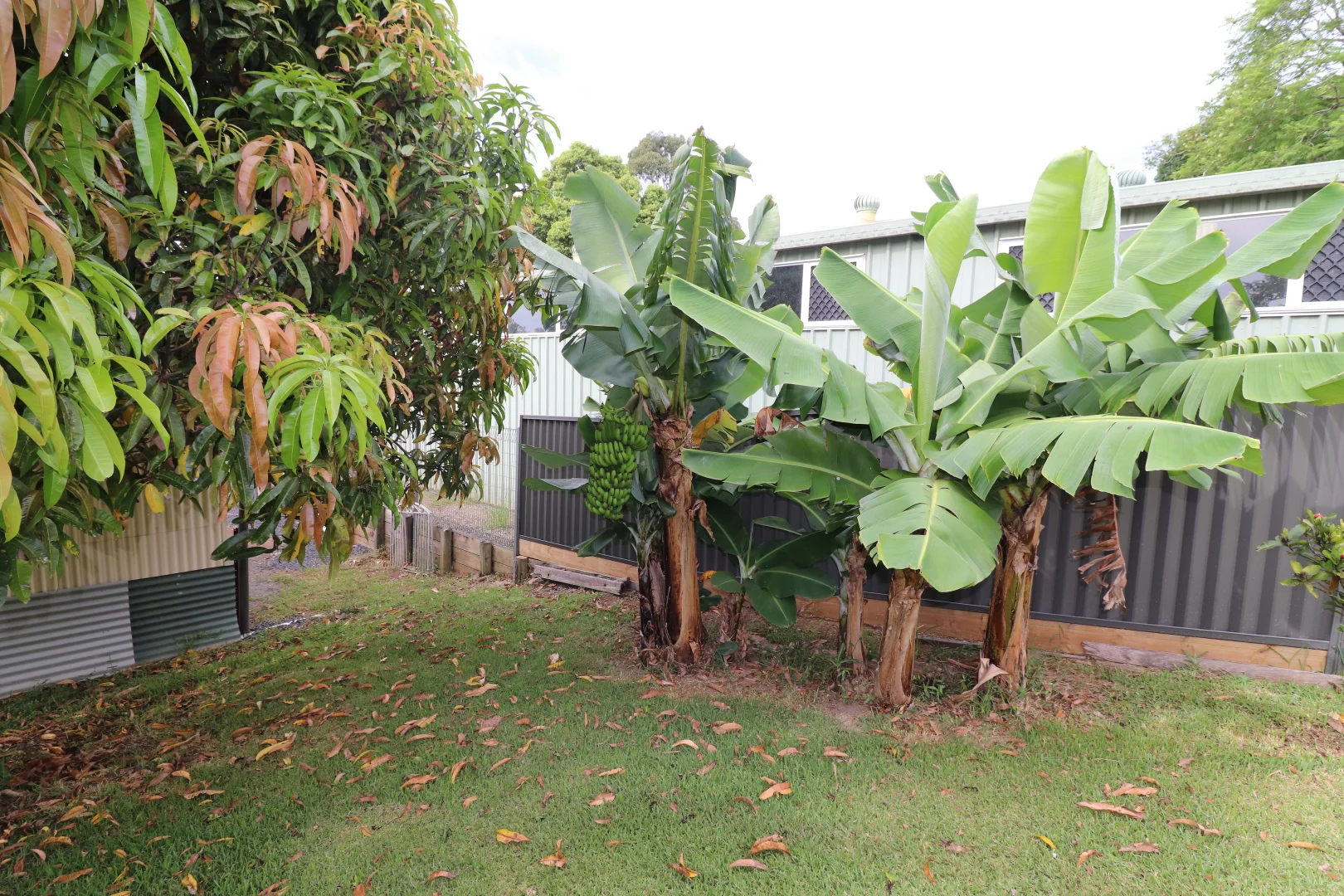 Additional image 26 of 55 Craig Street, East Kempsey NSW 2440