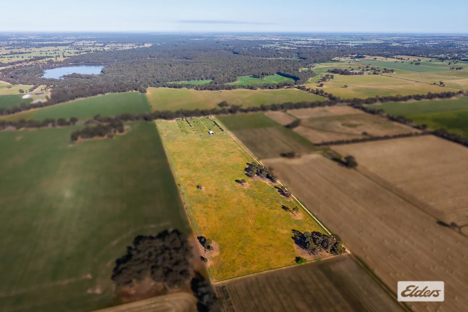 Additional image 7 of 2986 Federation Way, Rutherglen VIC 3685