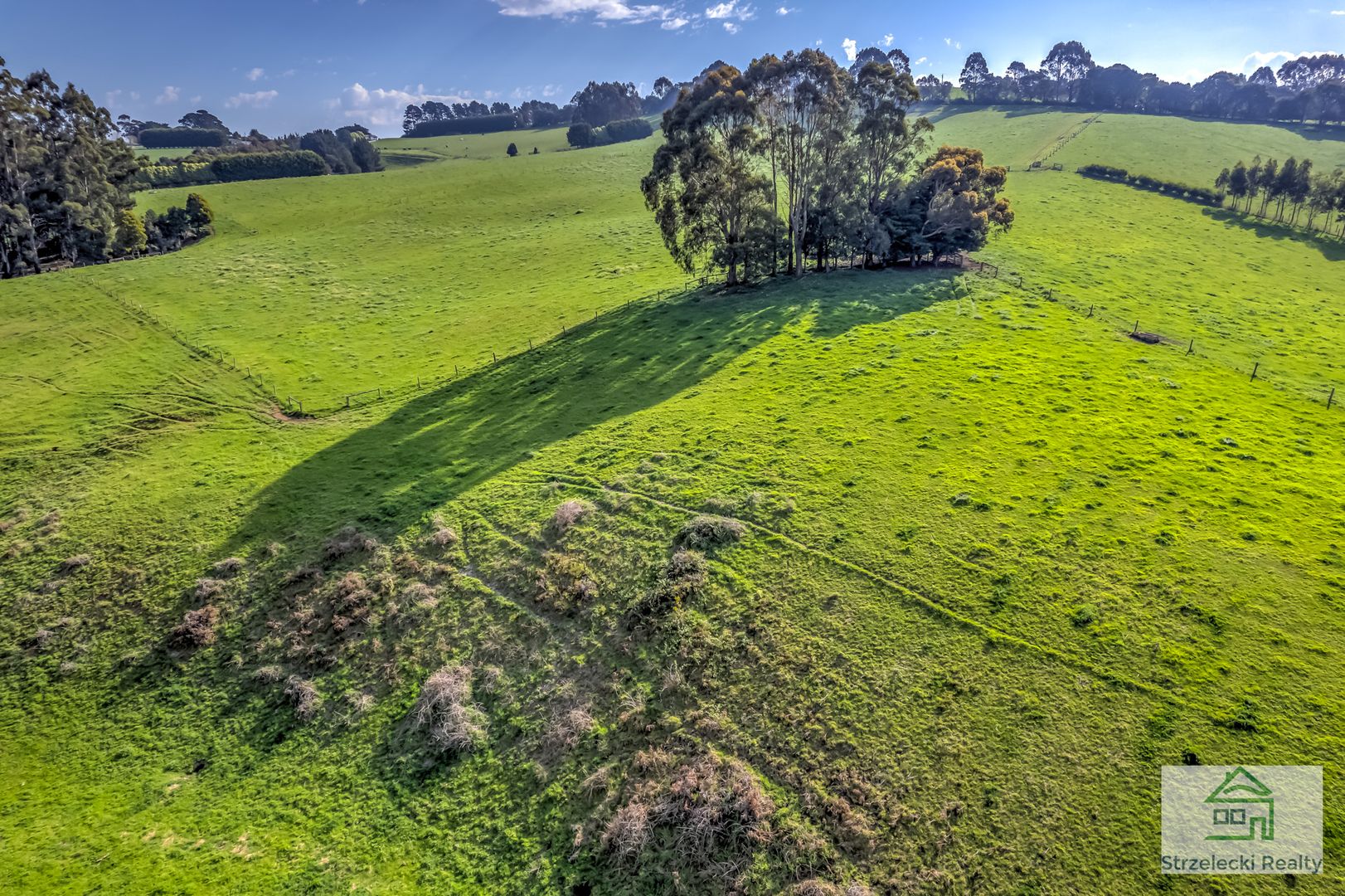 1065 Childers Settlement Road, Childers VIC 3824, Image 2