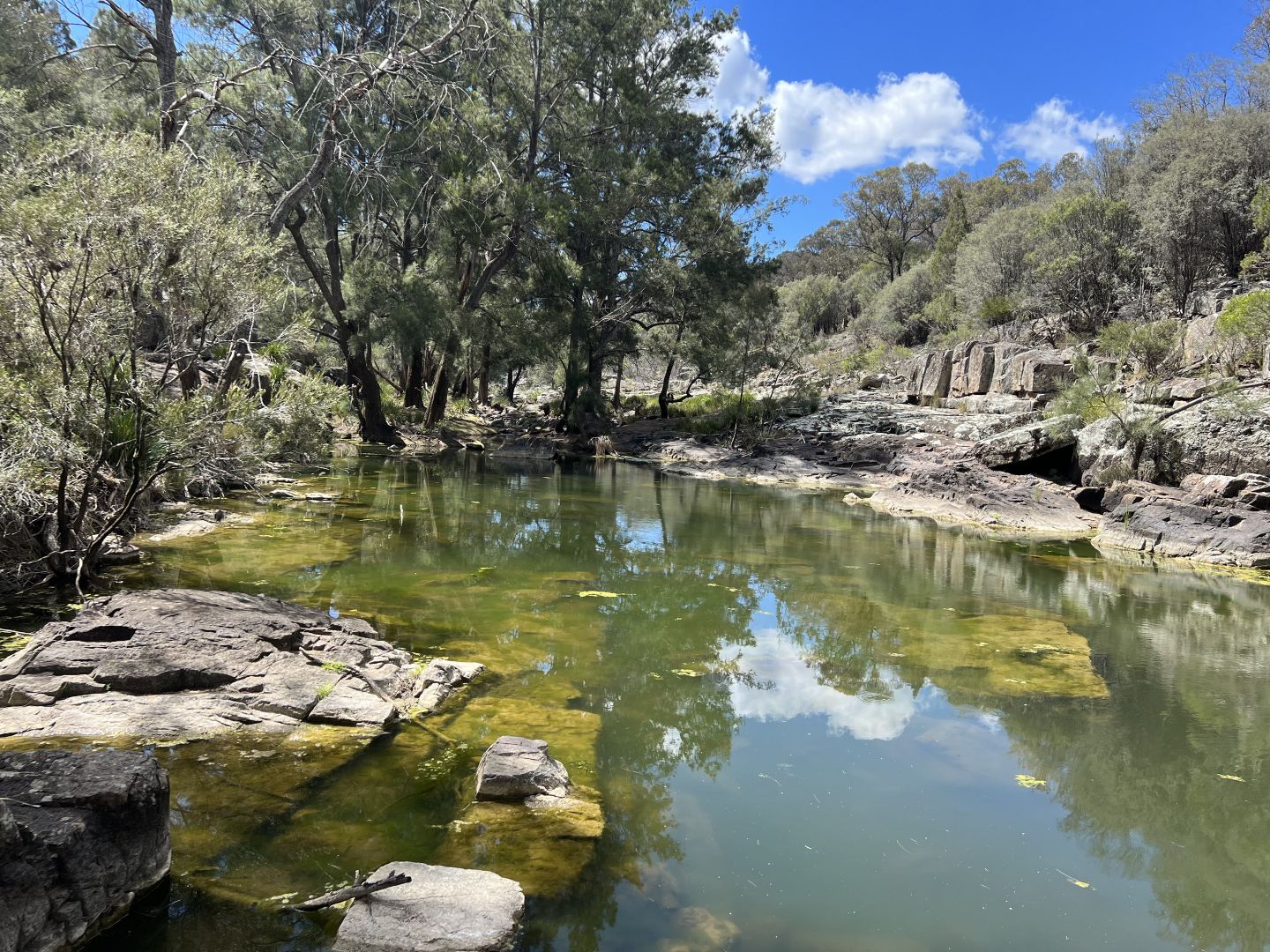 25 Arnolds Road, Wellingrove NSW 2370, Image 1