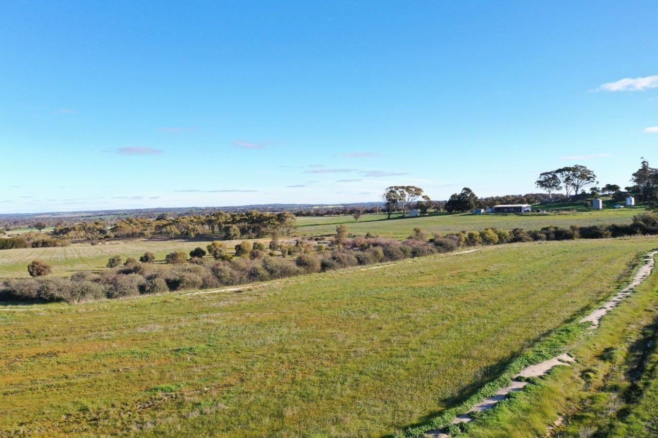 Lot 5842 Yenellin Road, Pingelly WA 6308, Image 2