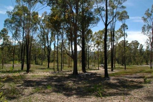 Boolambayte NSW 2423, Image 0