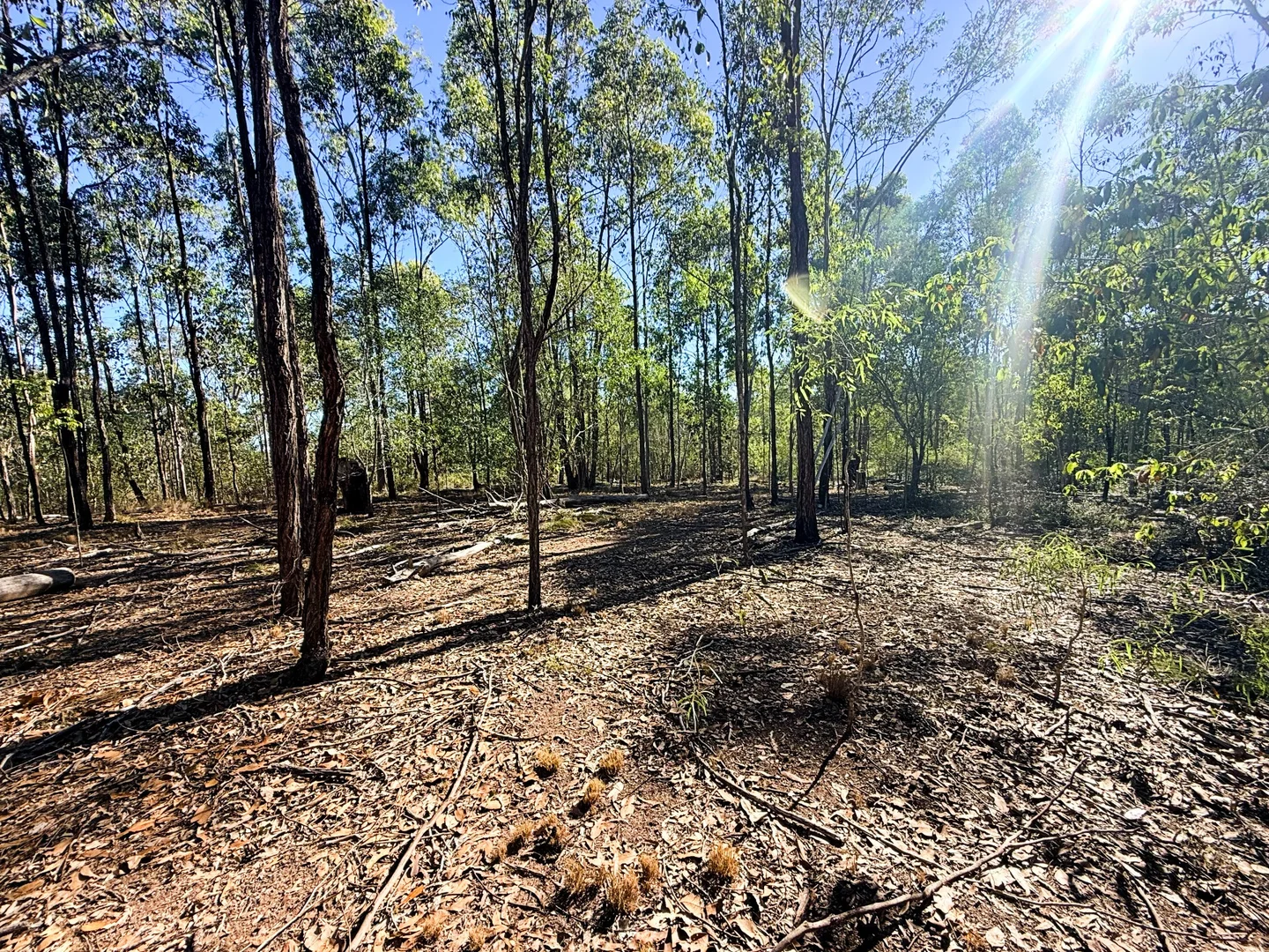 Image 6