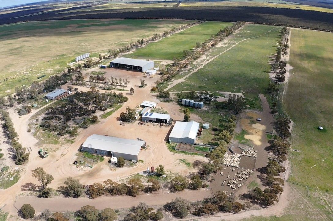 8811 Southern Cross South Road, West Holleton WA 6369, Image 0