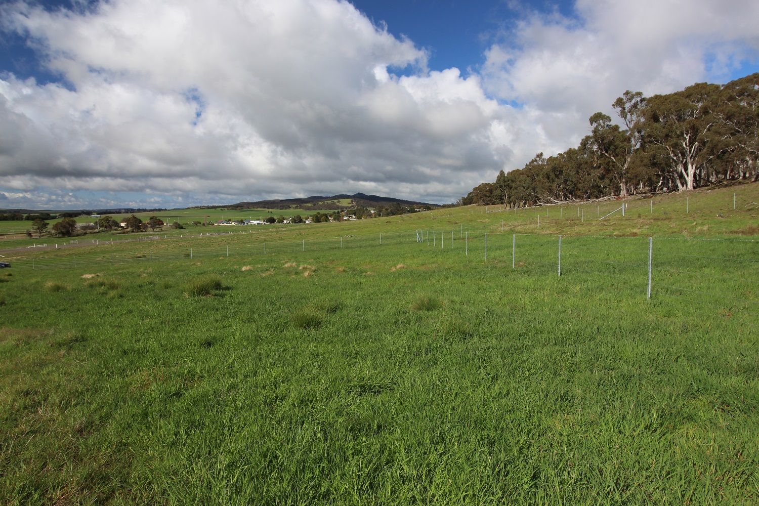 Lot 2 Mulwaree Street, Tarago NSW 2580, Image 2