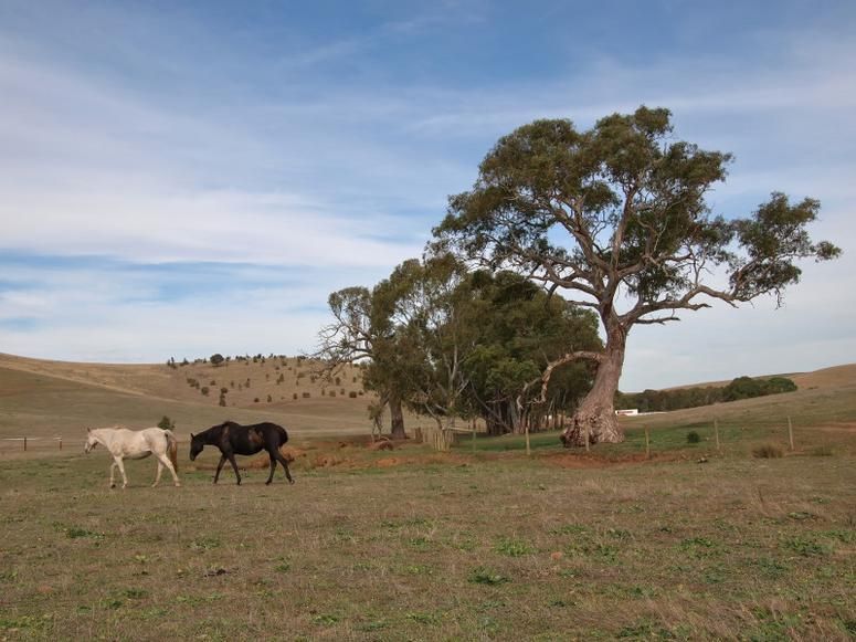 Sec 2019 Snake Gully Road, HARROGATE SA 5244, Image 1