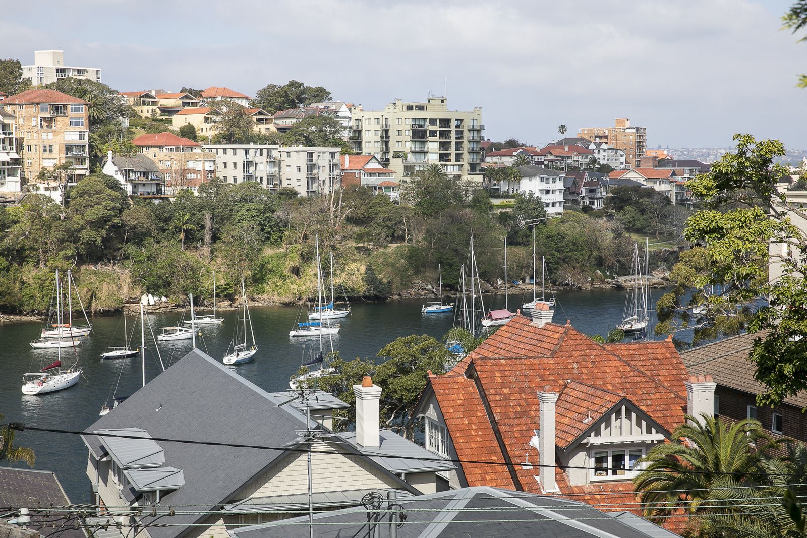 1/1 Hollowforth Avenue, Neutral Bay NSW 2089, Image 0