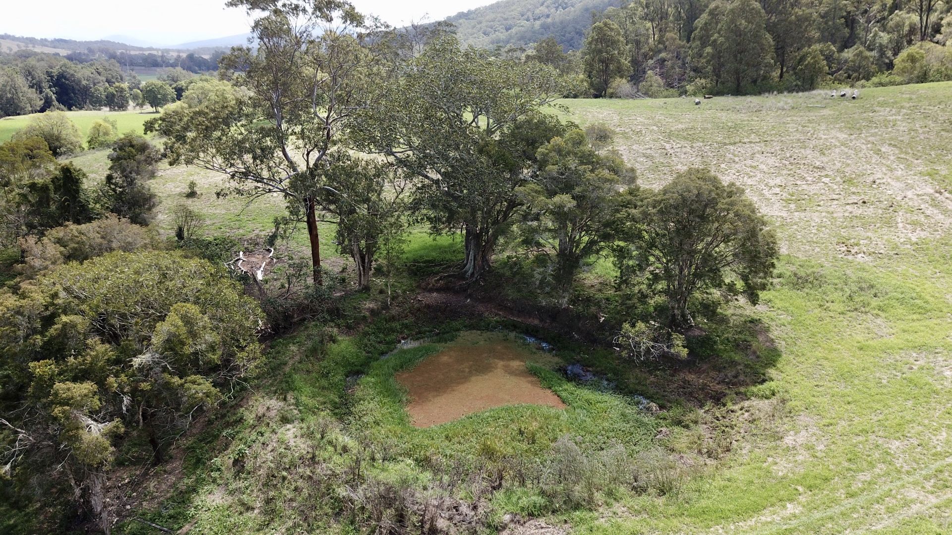 1177 (Lot 1/DP867951) Fosterton Road, Dungog NSW 2420 | Domain