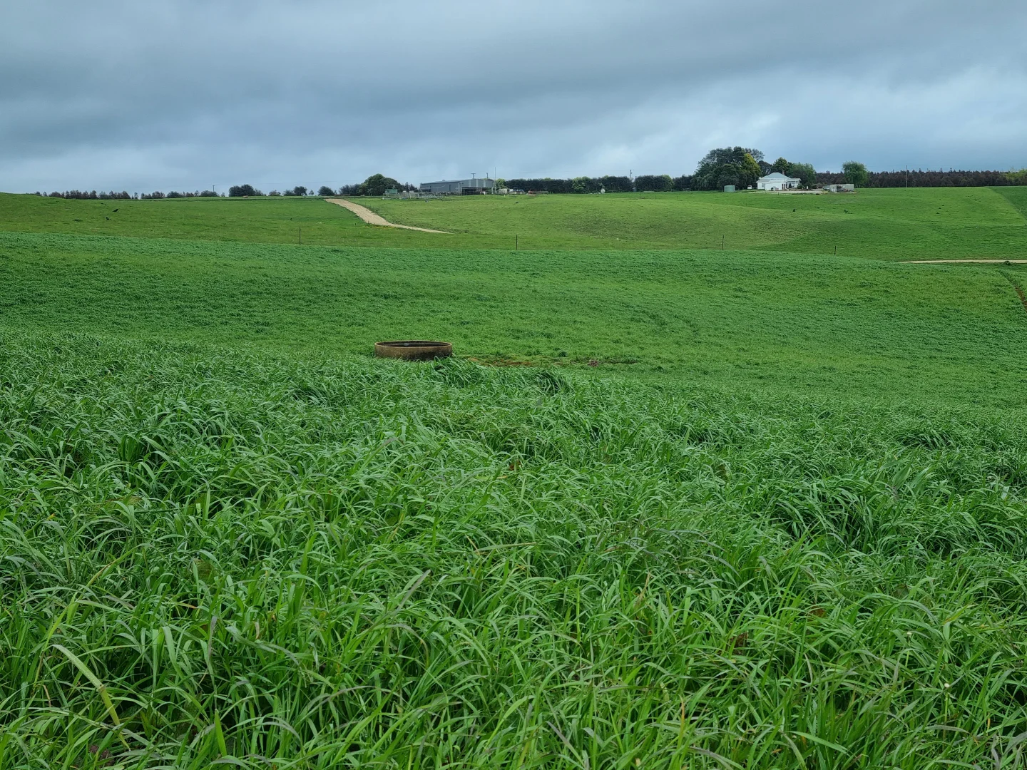 Additional image 20 of 2319 Murchison Highway, Henrietta TAS 7325