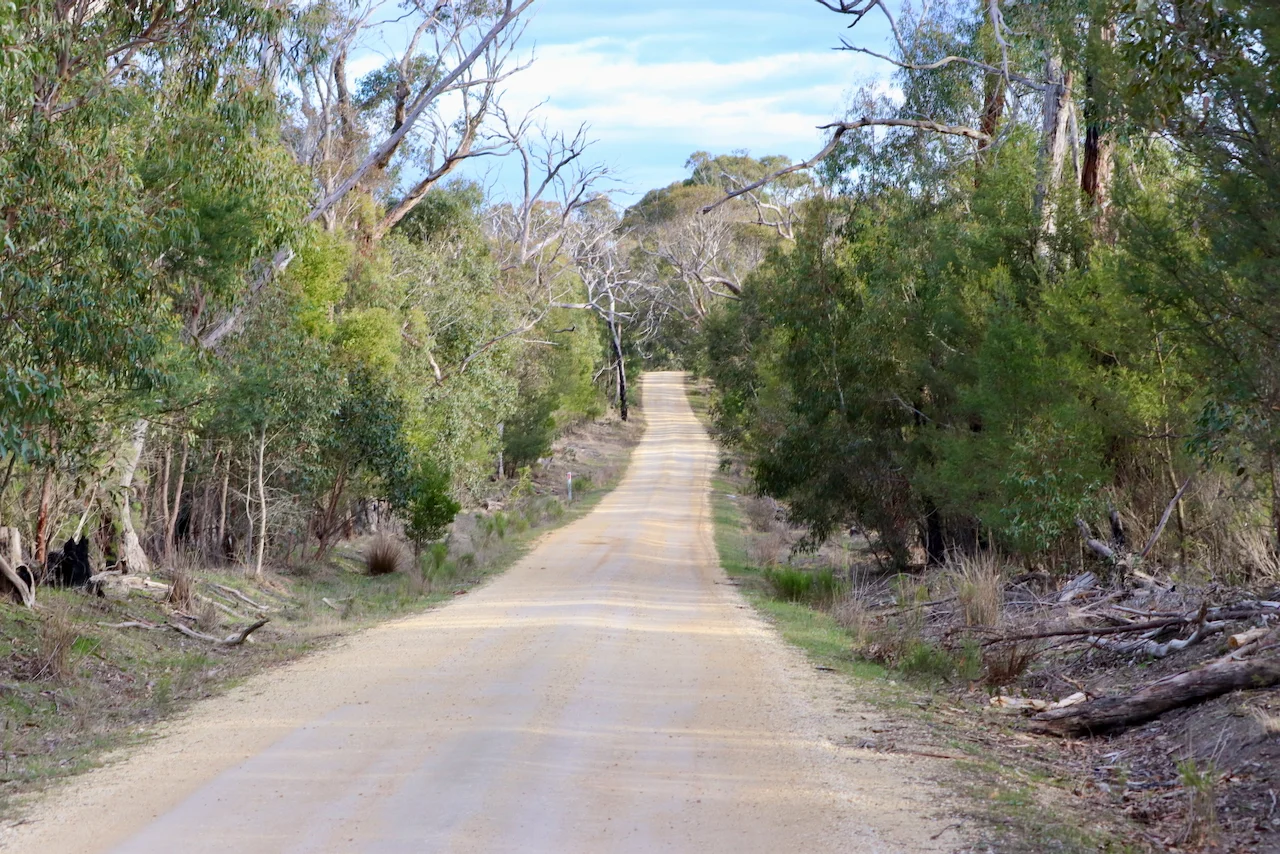 Image 15