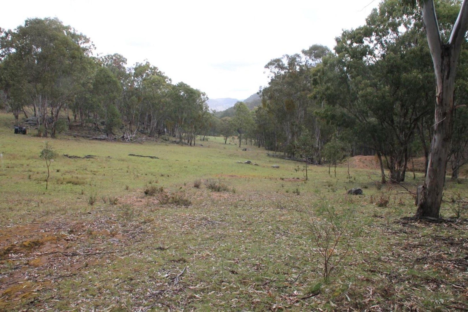 920 Bluff River Road, Tenterfield NSW 2372, Image 0