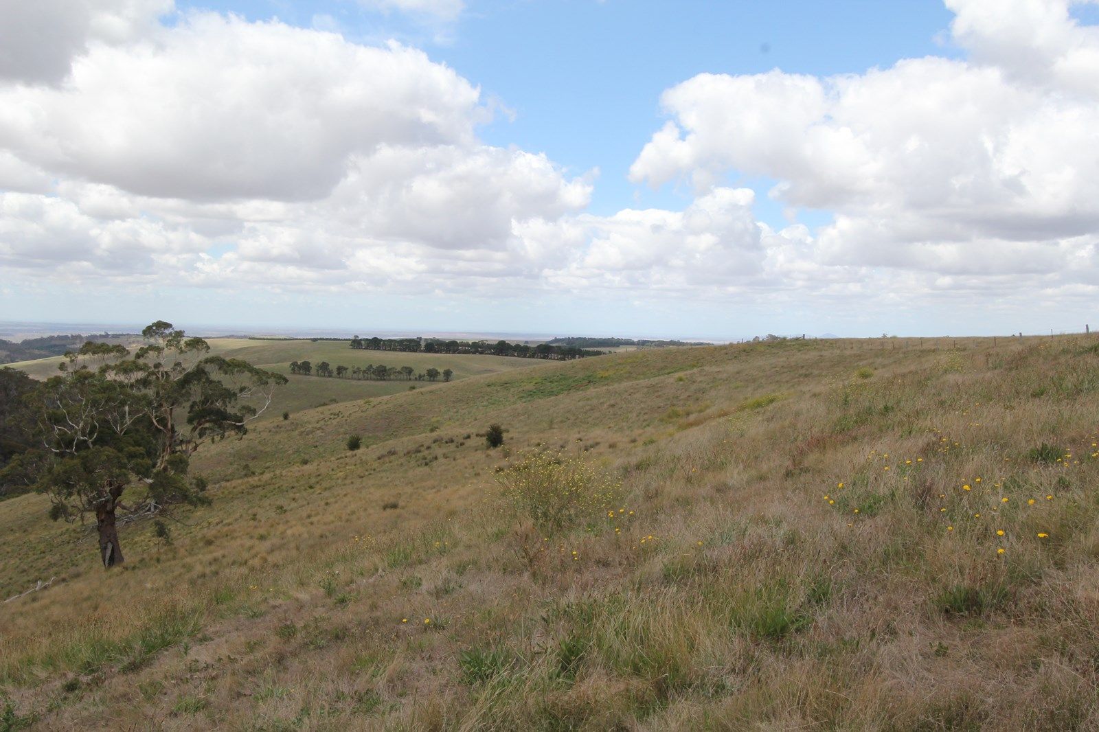 Lot 2 Mount Blackwood Road, MYRNIONG VIC 3341, Image 1