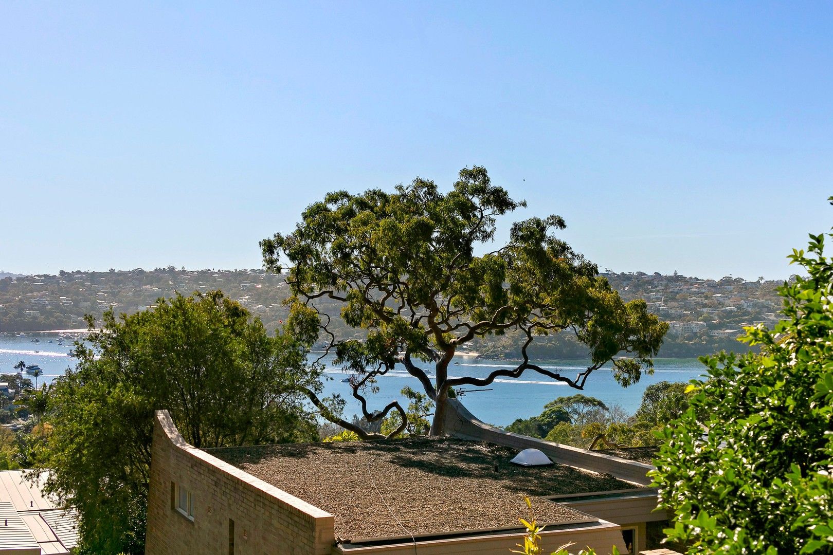 1 bedrooms Apartment / Unit / Flat in 19/14 Warringah Road MOSMAN NSW, 2088