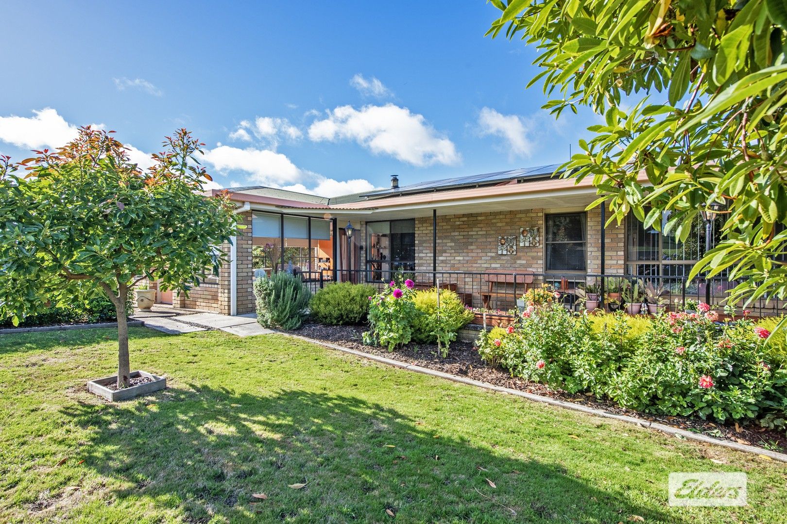 1091 Murchison Highway, Elliott TAS 7325, Image 0