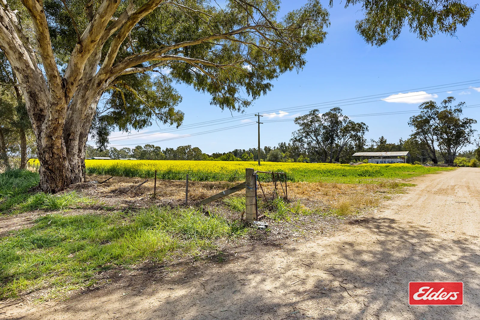 Image 12