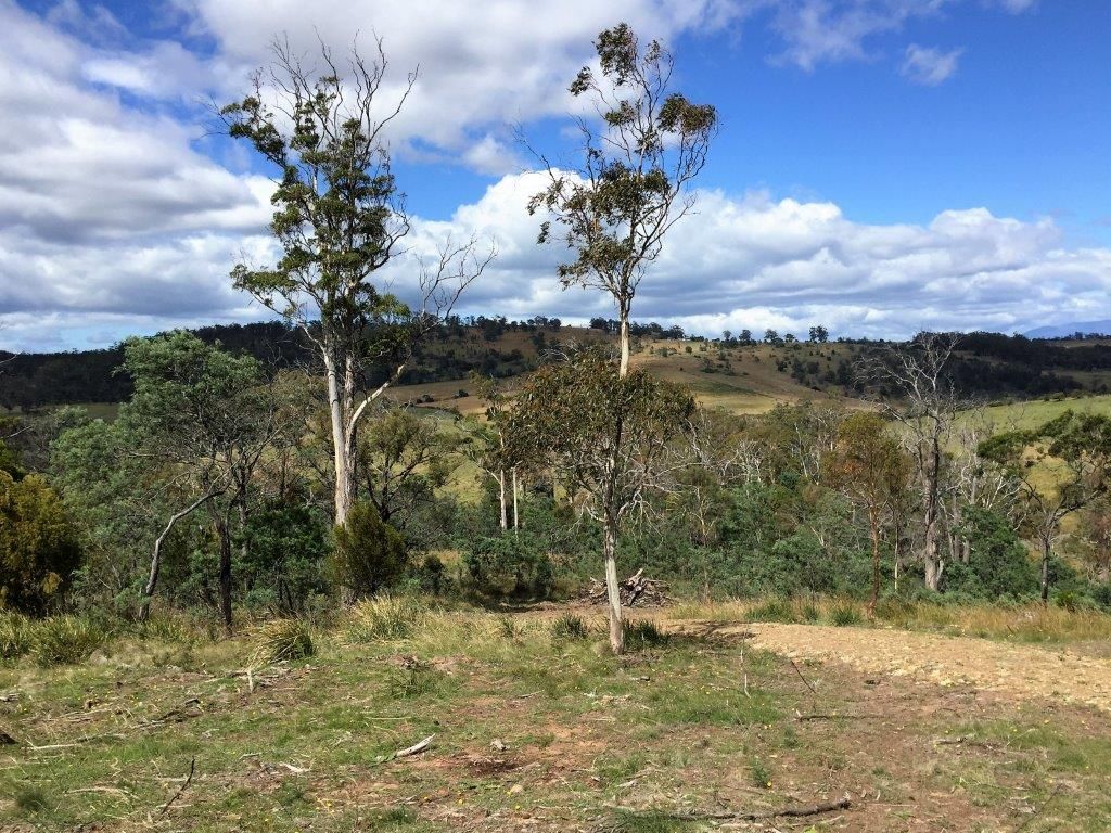 Lot 8/918 Nugent Road, Wattle Hill TAS 7172, Image 2