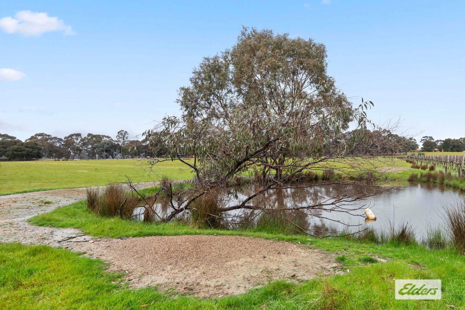 Mannes Lane, Strathfieldsaye VIC 3551, Image 2