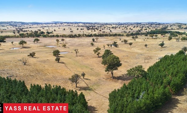 1875 Wargeila Road, Laverstock NSW 2582