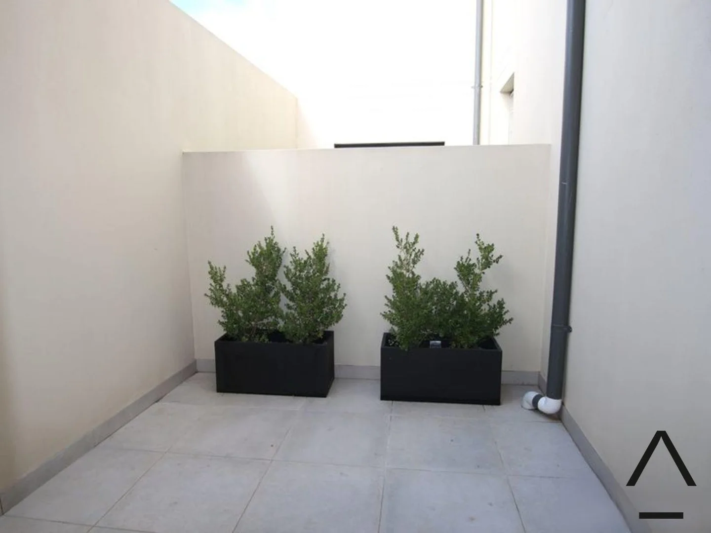 Additional image 6 of 2/236 Marrickville Road, Marrickville NSW 2204