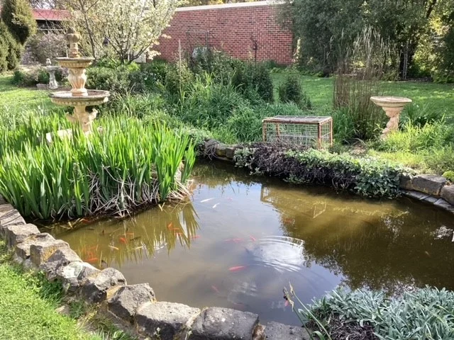 Image 26