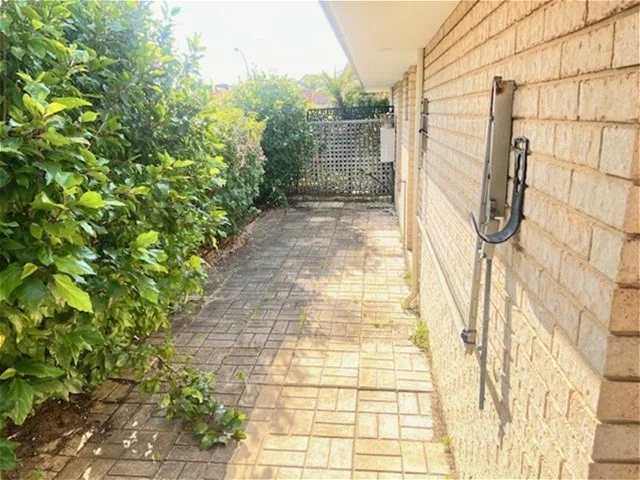 Image 19