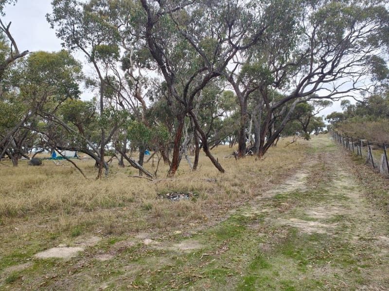 1580 Padthaway Road, Mundulla Wes Property History & Address Research