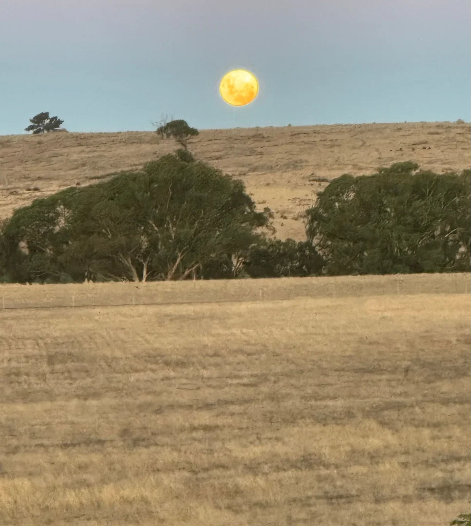 Additional image 12 of 135 Tarrengower School Road, Tarrengower VIC 3463