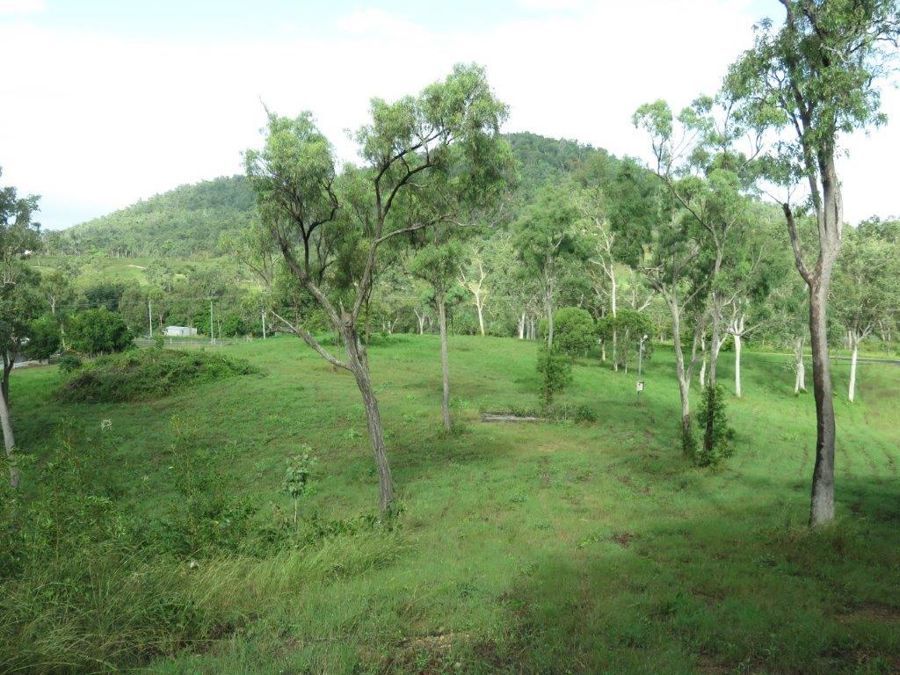 LOT 5 MIDGE POINT ROAD, Midge Point QLD 4799, Image 1