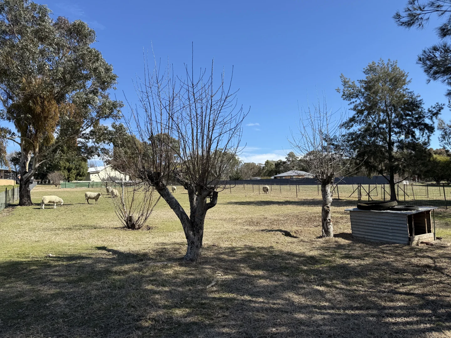 Image 12