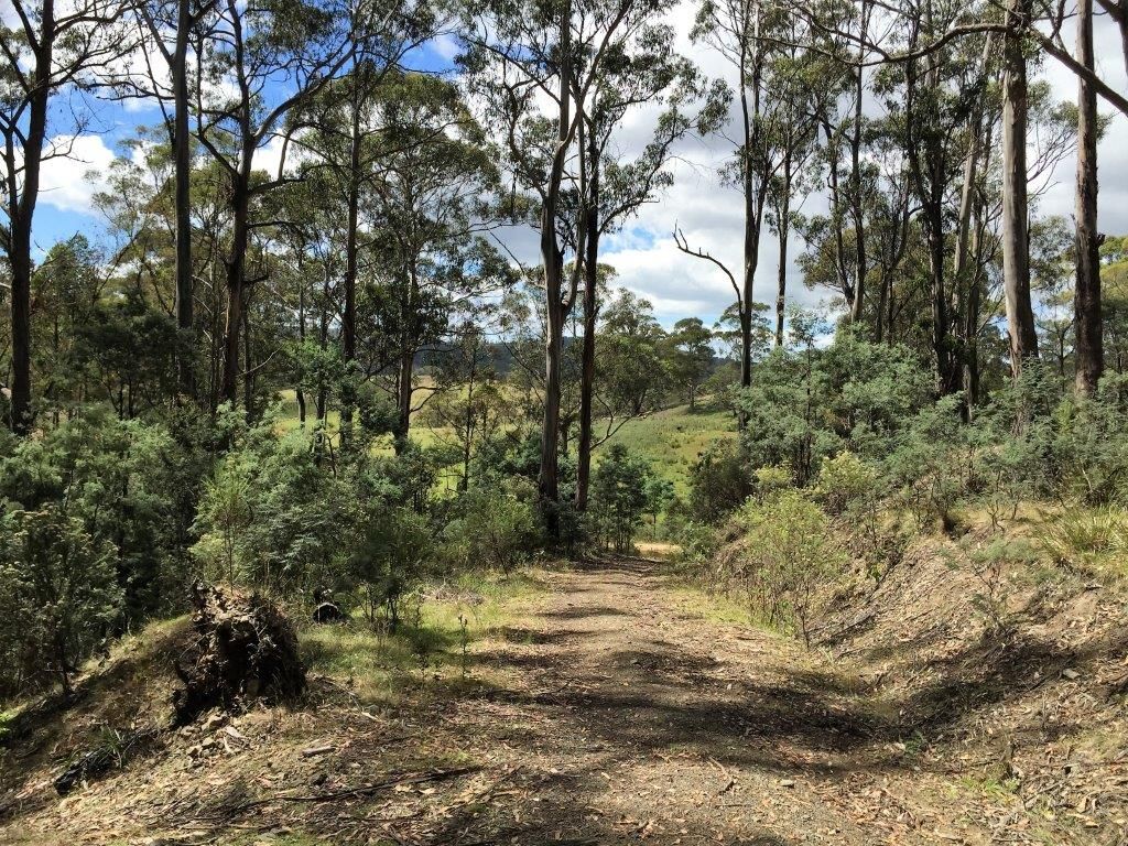 Lot 1/918 Nugent Road, Wattle Hill TAS 7172, Image 2