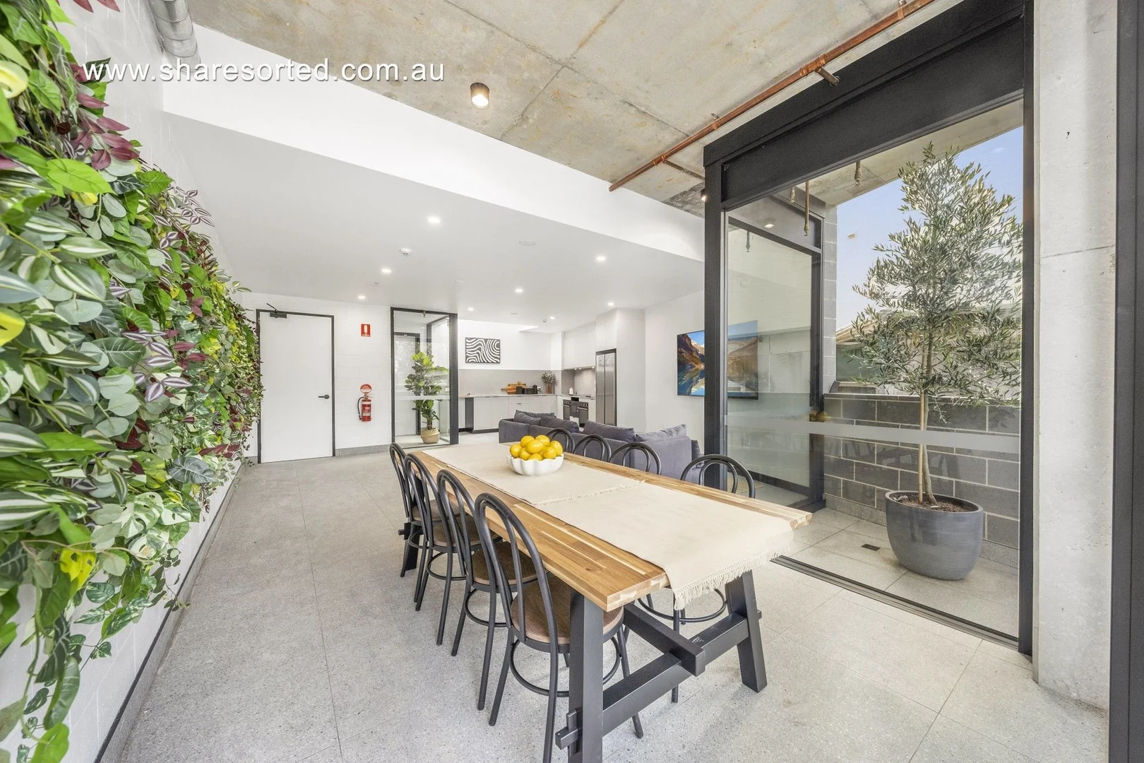 Additional image 12 of 36 Floss Street, Dulwich Hill NSW 2203