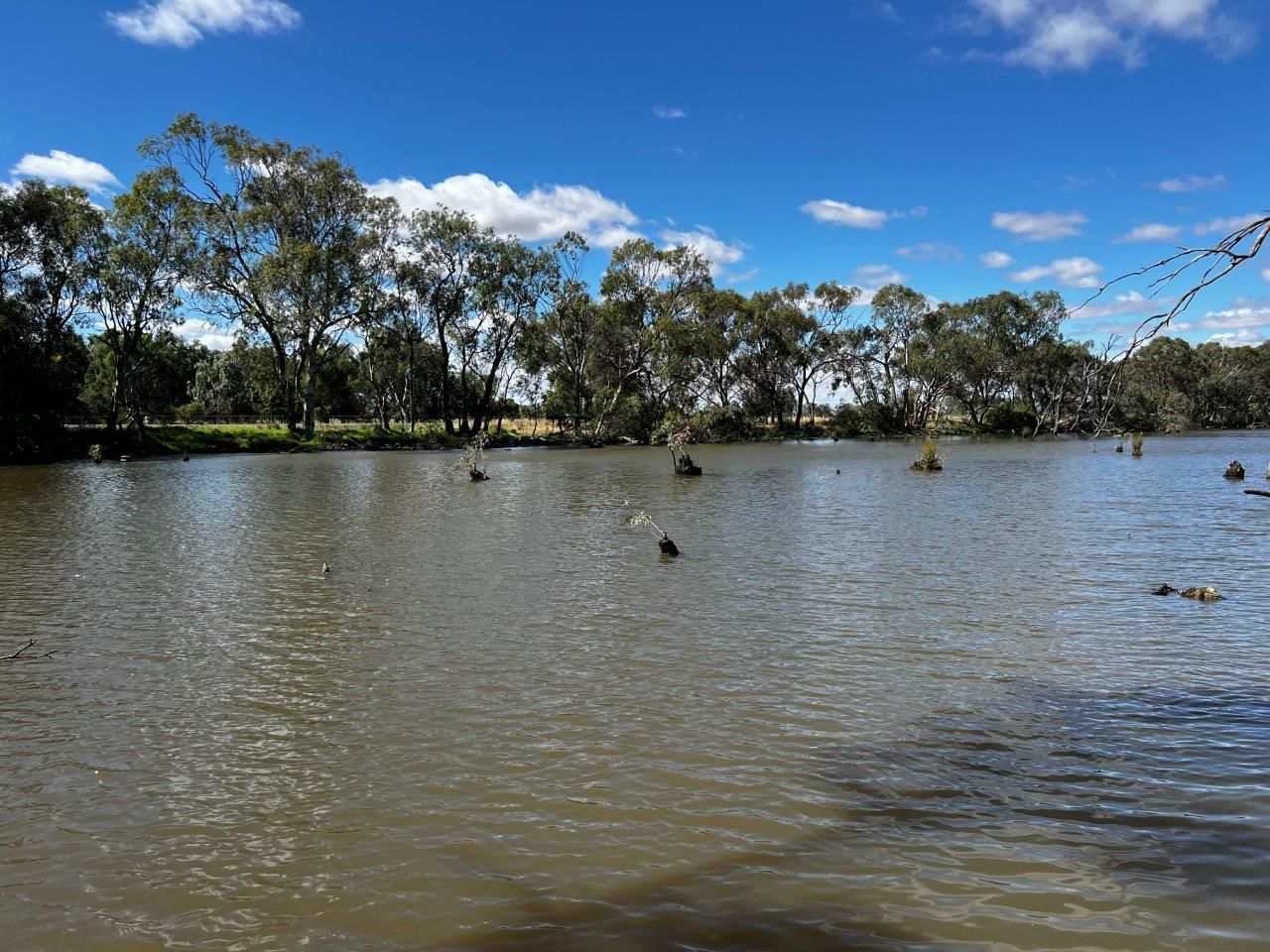 30 Catanese Road, Gunbower VIC 3566 House for Sale Domain