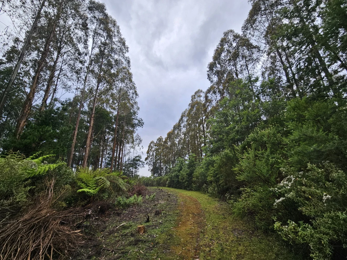 Image 14