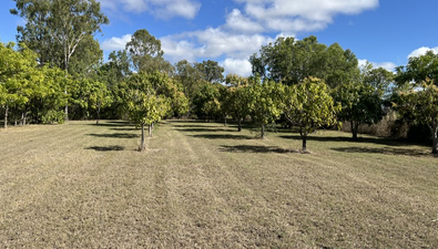 Picture of 296 Mount Dangar Road, BOWEN QLD 4805