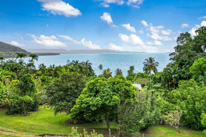 Picture of Lot 4/1299C Mossman Daintree Road, ROCKY POINT QLD 4873