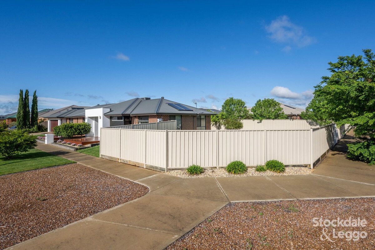 36 Wendouree Drive, Kialla VIC 3631 House For Rent Domain