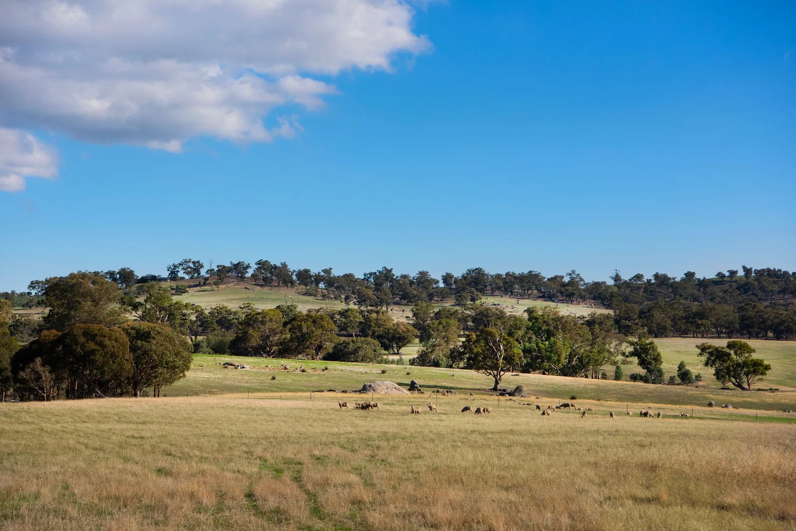Additional image 4 of 135 Tarrengower School Road, Tarrengower VIC 3463