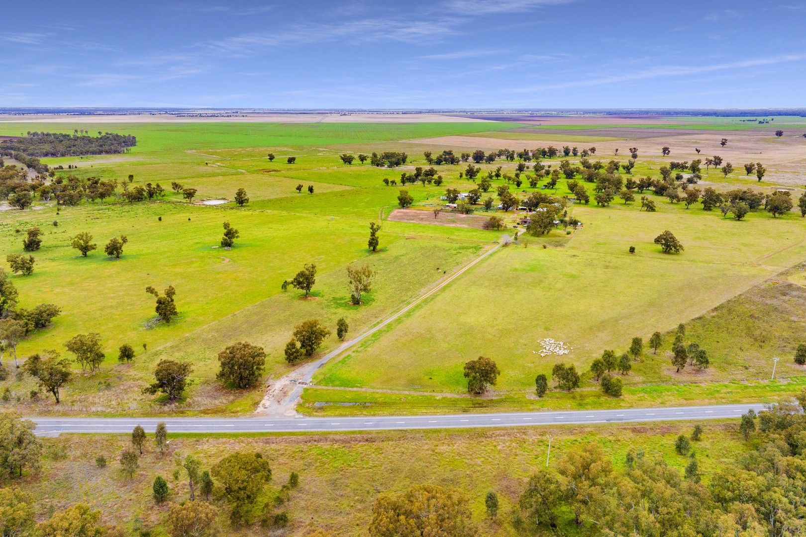 10935 Sturt Highway, Narrandera NSW 2700, Image 1