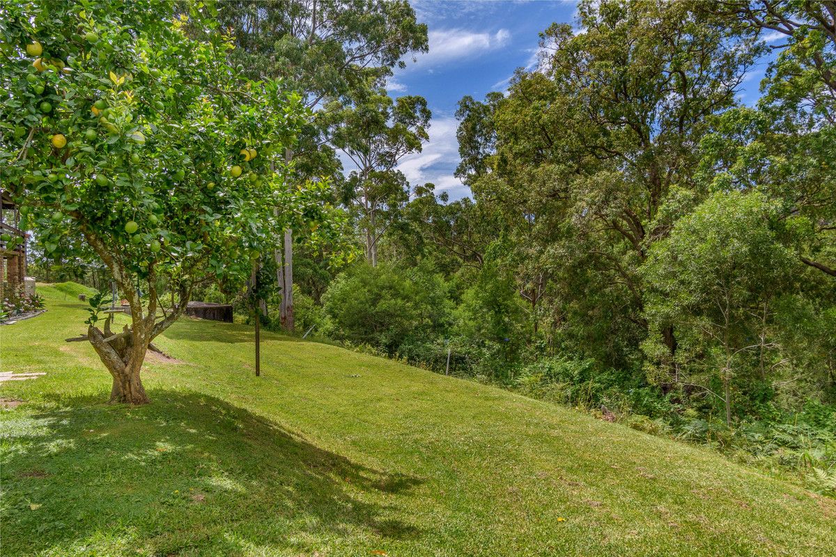 1485 Leggetts Drive, Brunkerville NSW 2323, Image 2