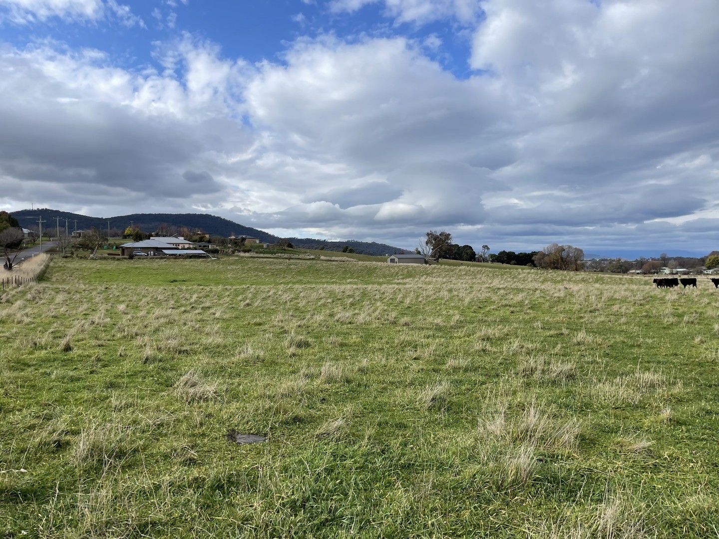 Lot 138 Chisholm Street, Tumbarumba NSW 2653, Image 1