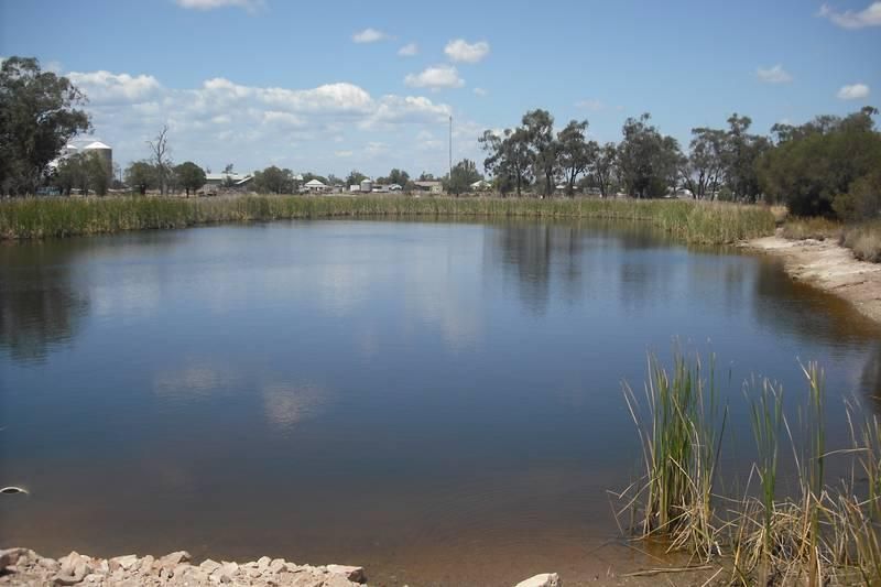YELARBON QLD 4388, Image 2