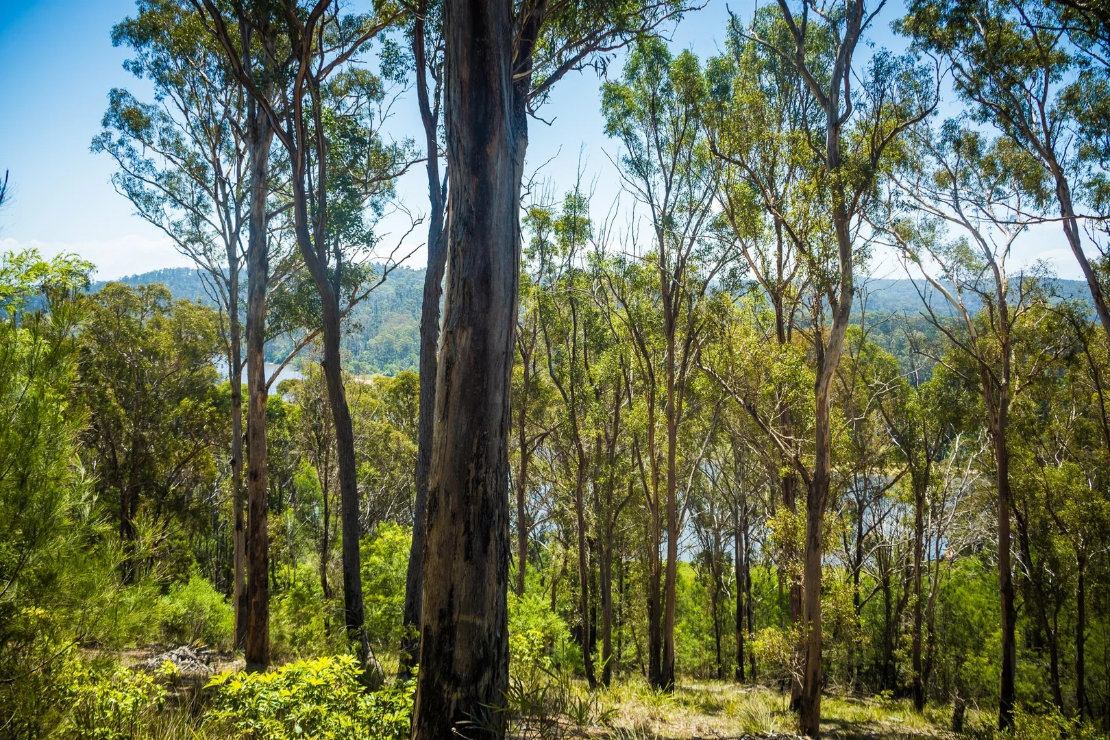 Image 11