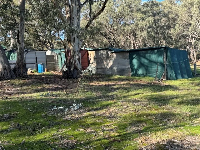 Image 10